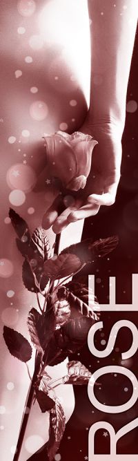 Status Rose - Honorarübersicht Caprice Escort Niederlande