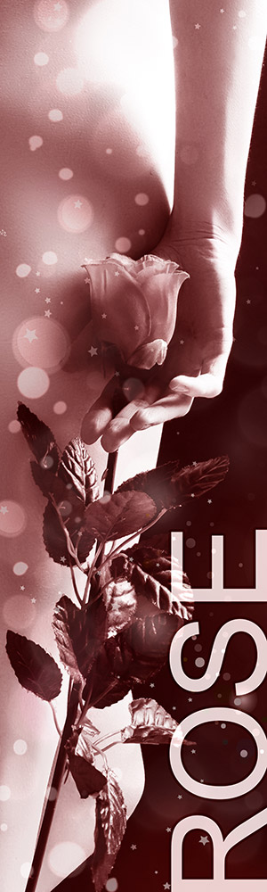 Honorar Status Rose - Escort Service Niederlande